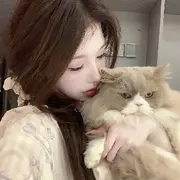 橙子味的mm的用户头像