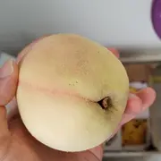 老农民翰哥