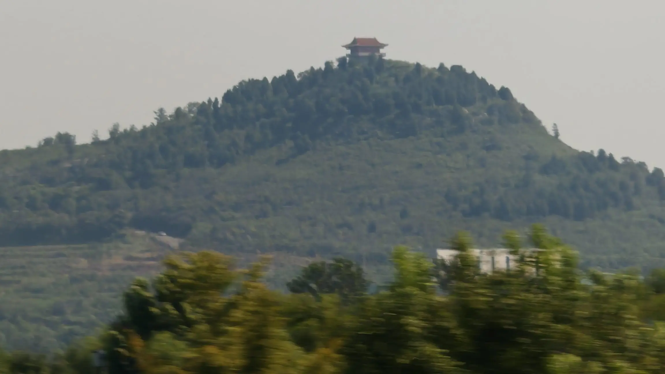 不是清欢✨️主播图片