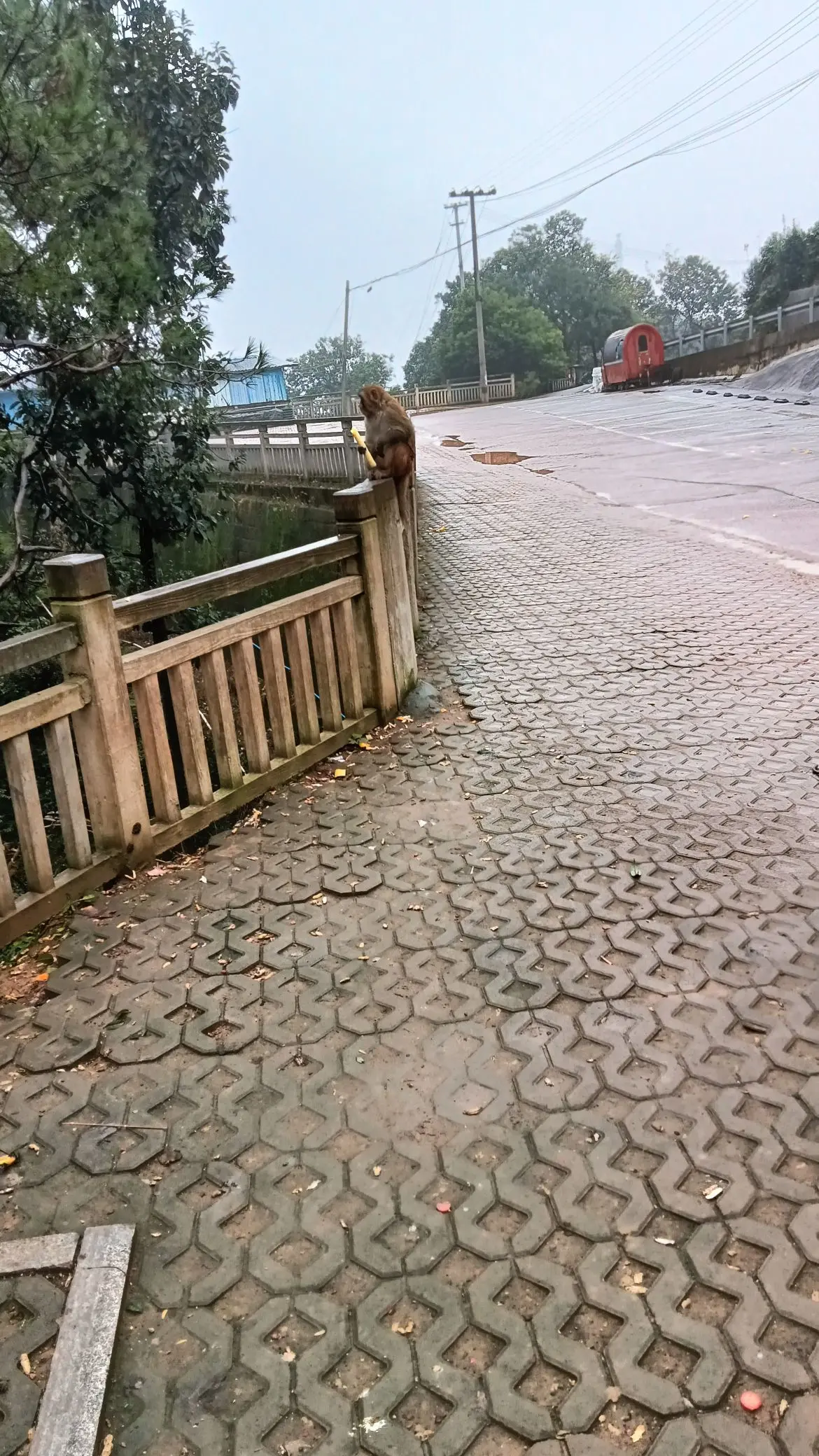 ╰⋛云盼ღ人生⋚╯主播图片