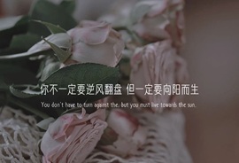 梓洛~的图片
