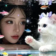 发发🎤