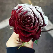 无☞♥☜心