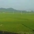 慈圣y