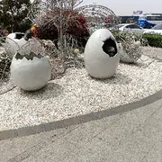 ▦来自广州的郊狼▦