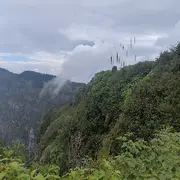 灬丨风无痕