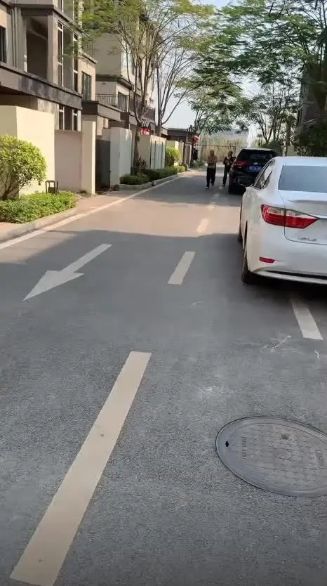 膽大 心細 臉皮厚