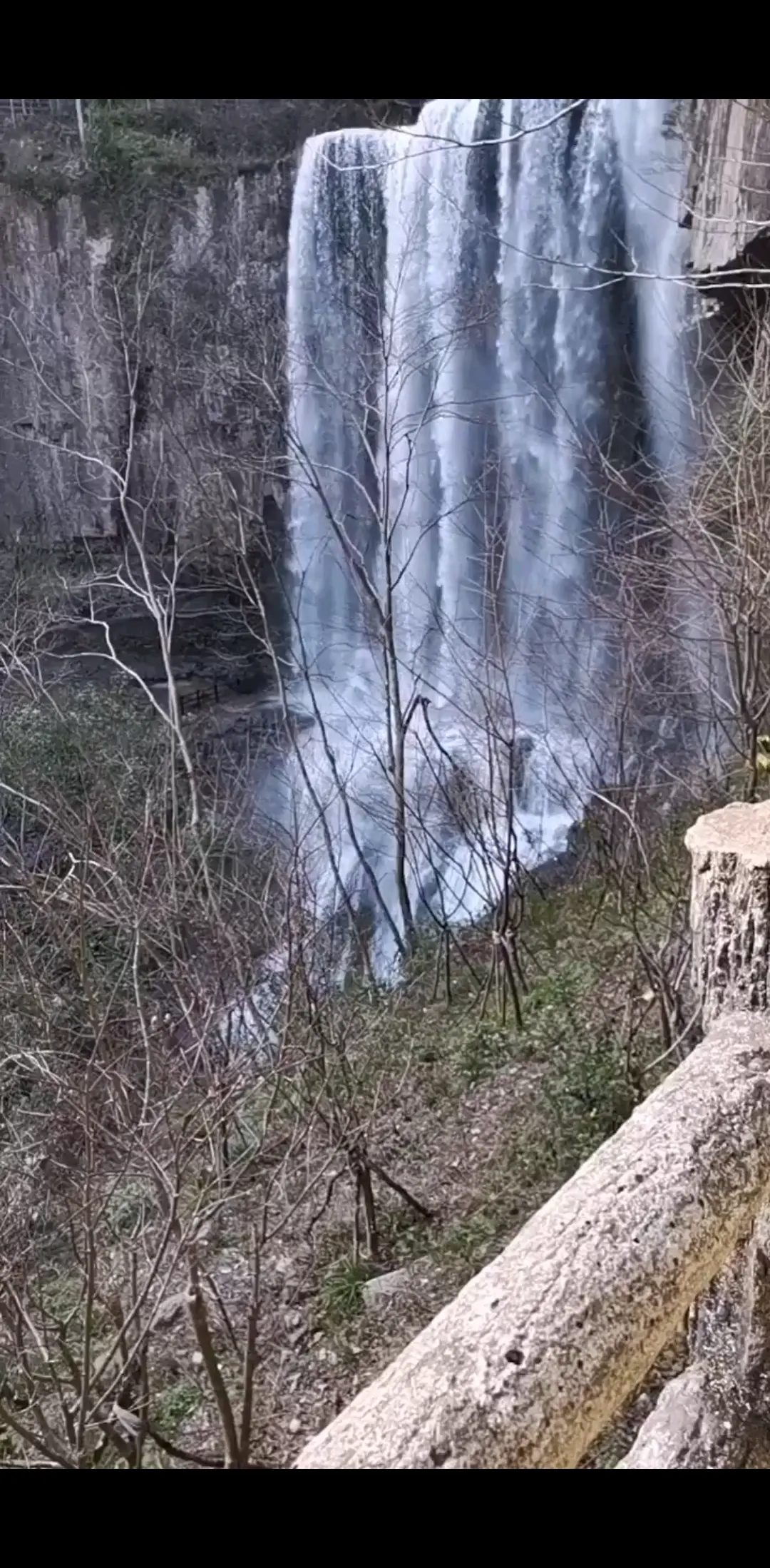 青山绿水