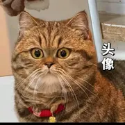挖了个球球