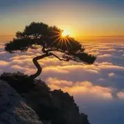 梦想的尽头9/、