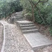 花好月圆678