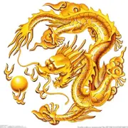 眞龍🐉