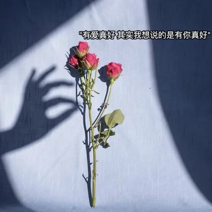 雨神宝宝👑主播图片