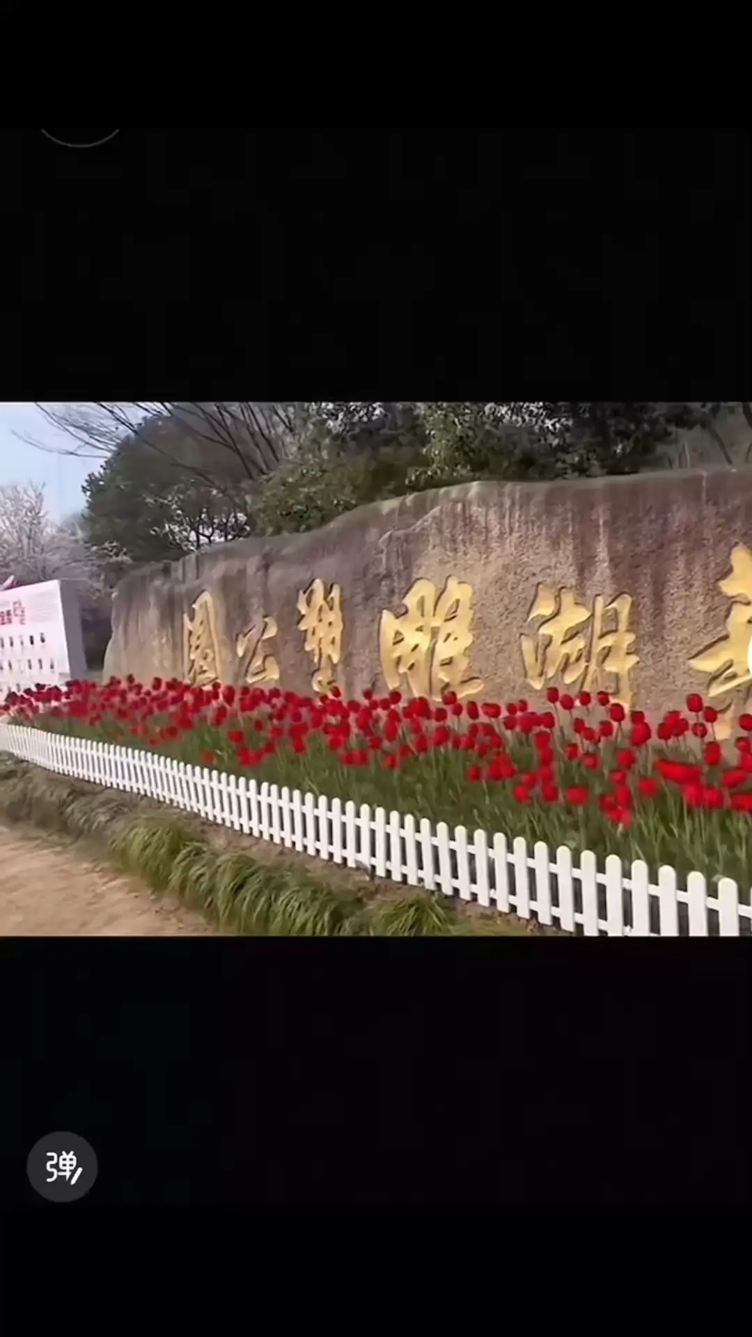花海盛开，爱心成树，