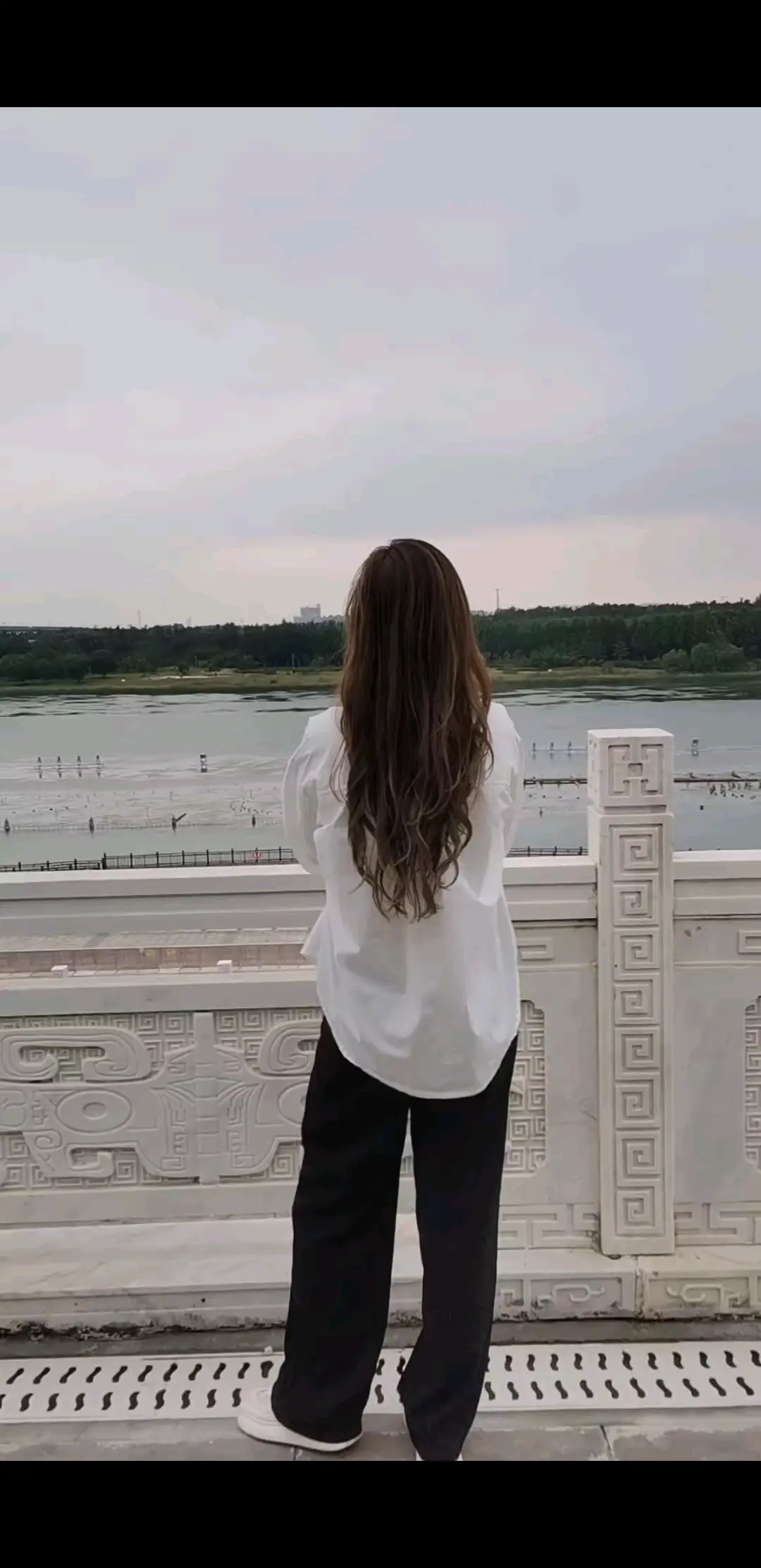白首不分离