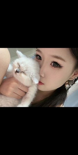 天才兔子小姐🐰的图片
