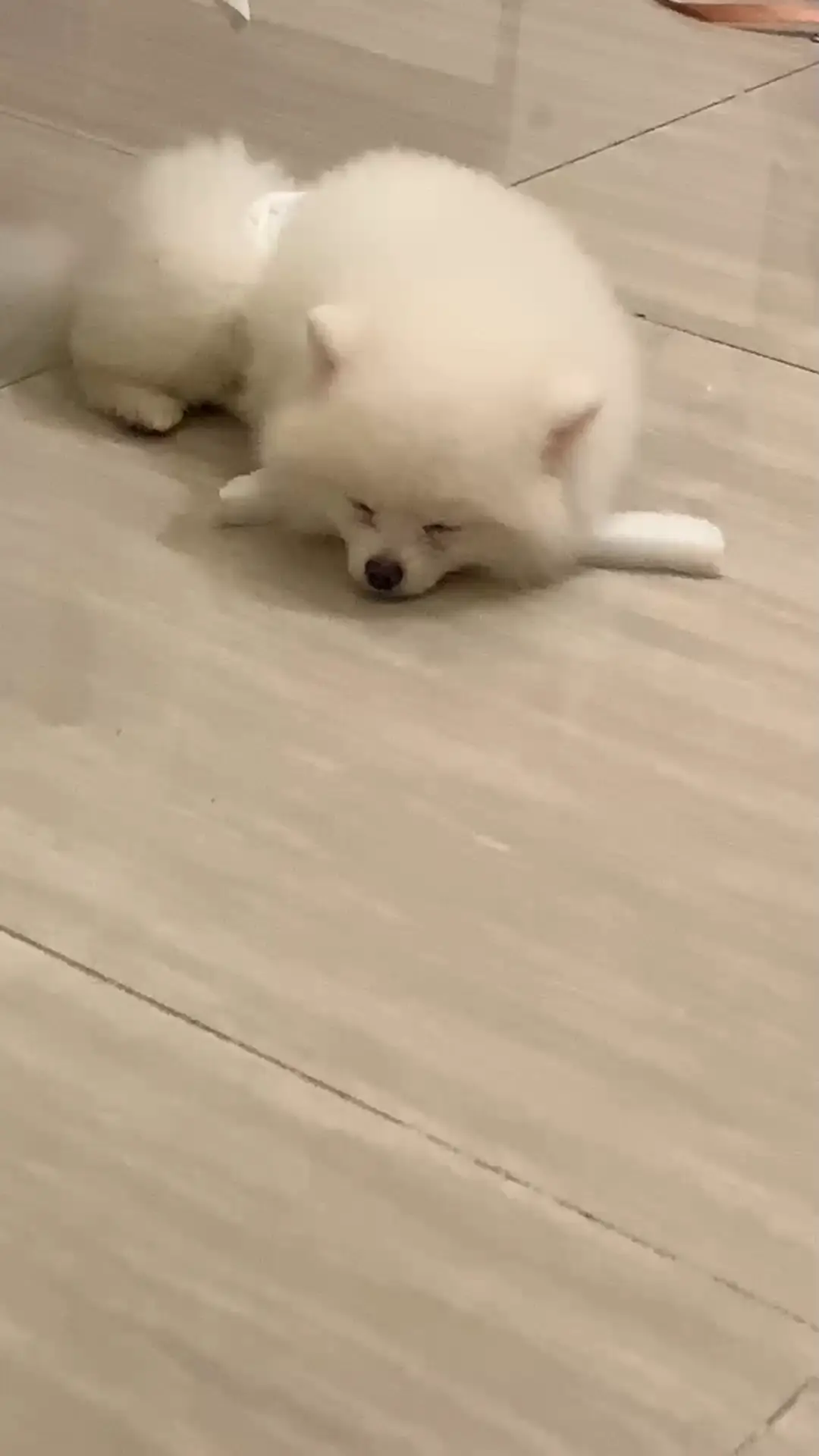 还知道自己叫什么