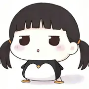 婧pro休