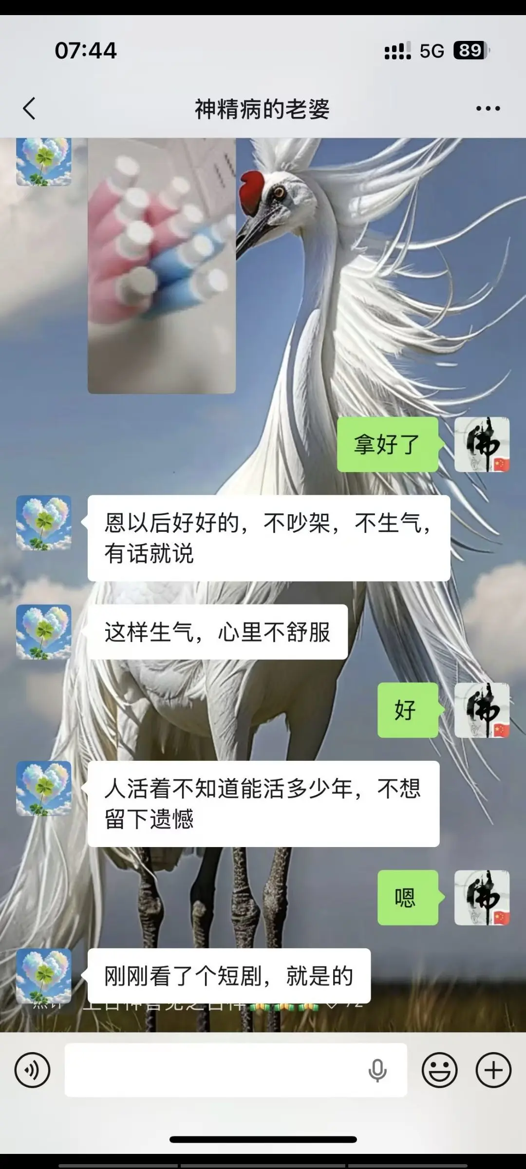 愿一世琉璃，懂你悲喜主播图片