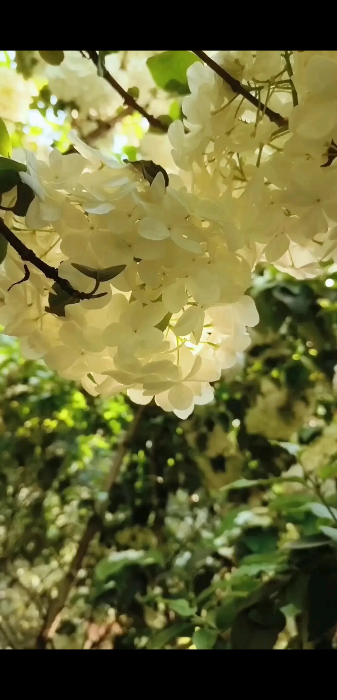 春日杂诗