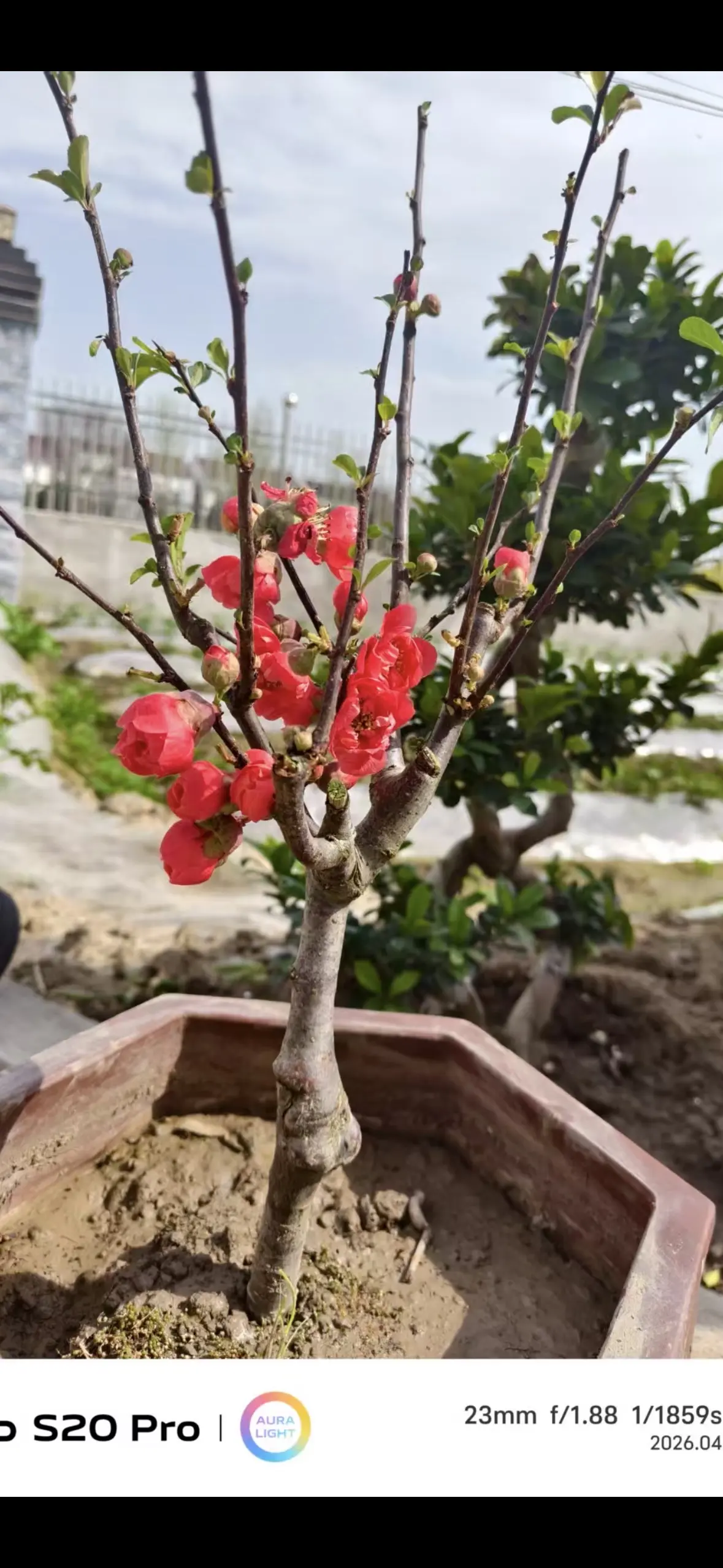 瑶，唱歌你听🎤主播图片