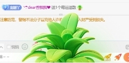 萌新白小糖的图片