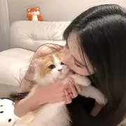 聂晨曦