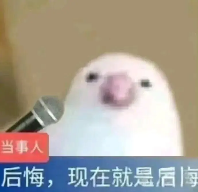 灵灵七🦀🦀主播图片