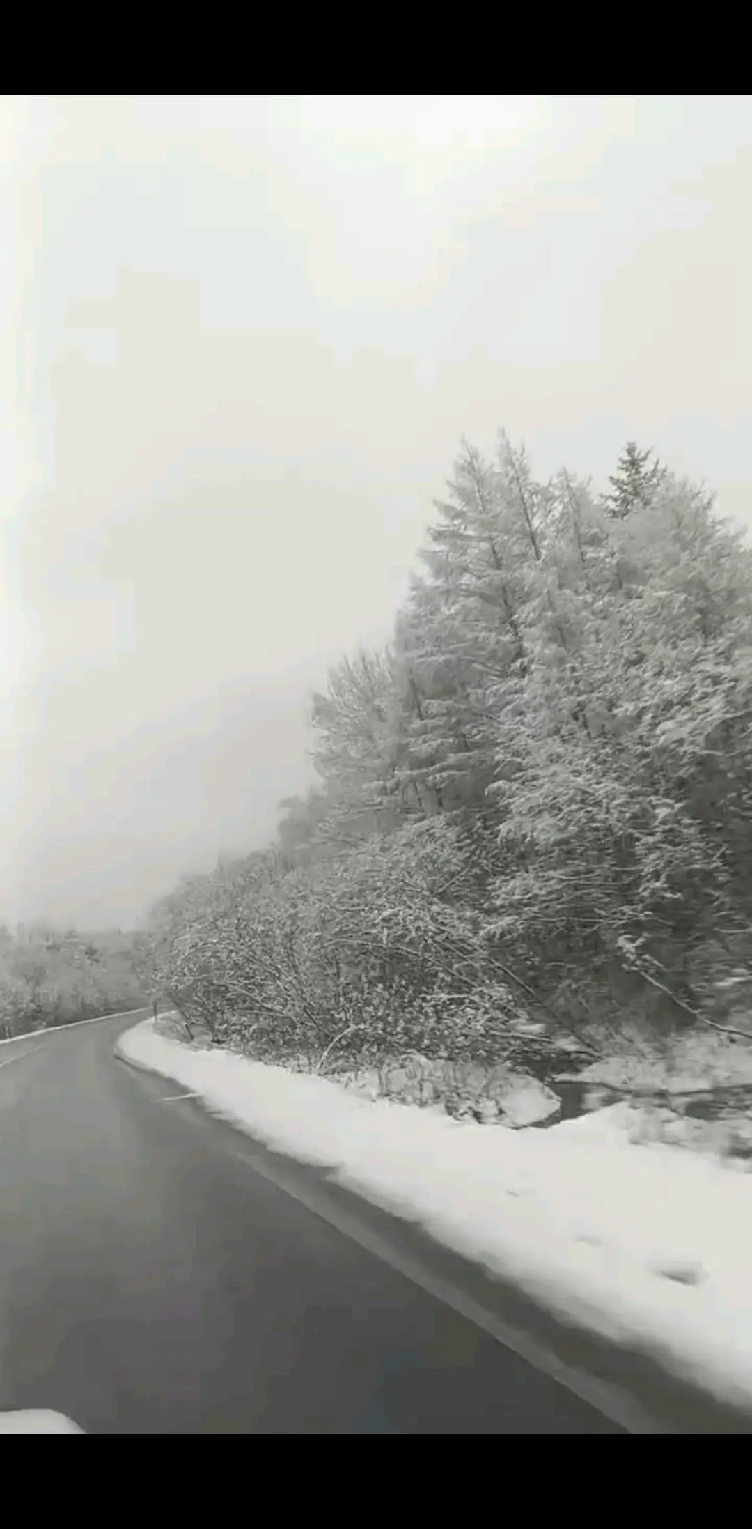 四月的伊春还下雪呐