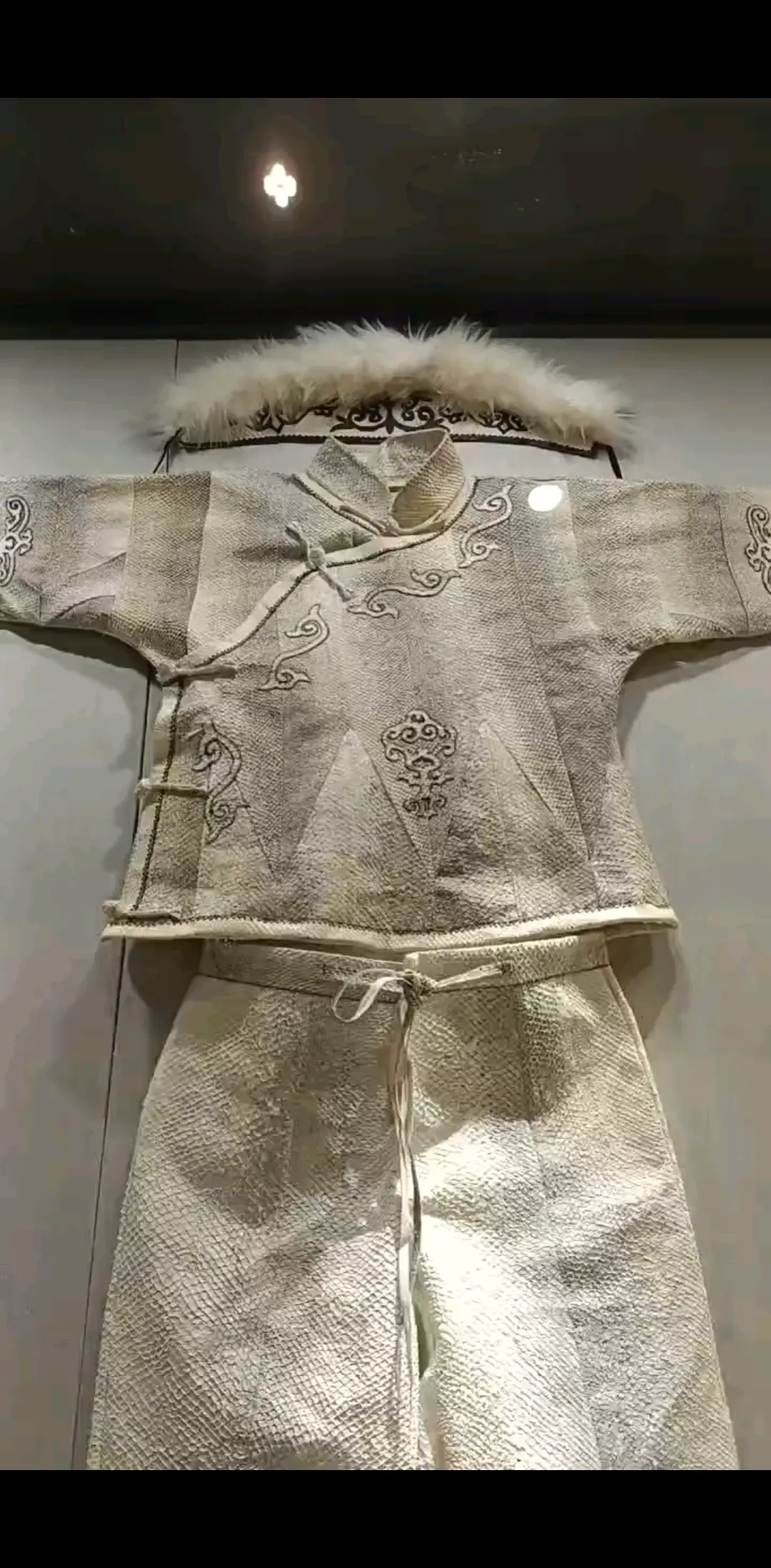 鸡西市历史博物馆 鱼