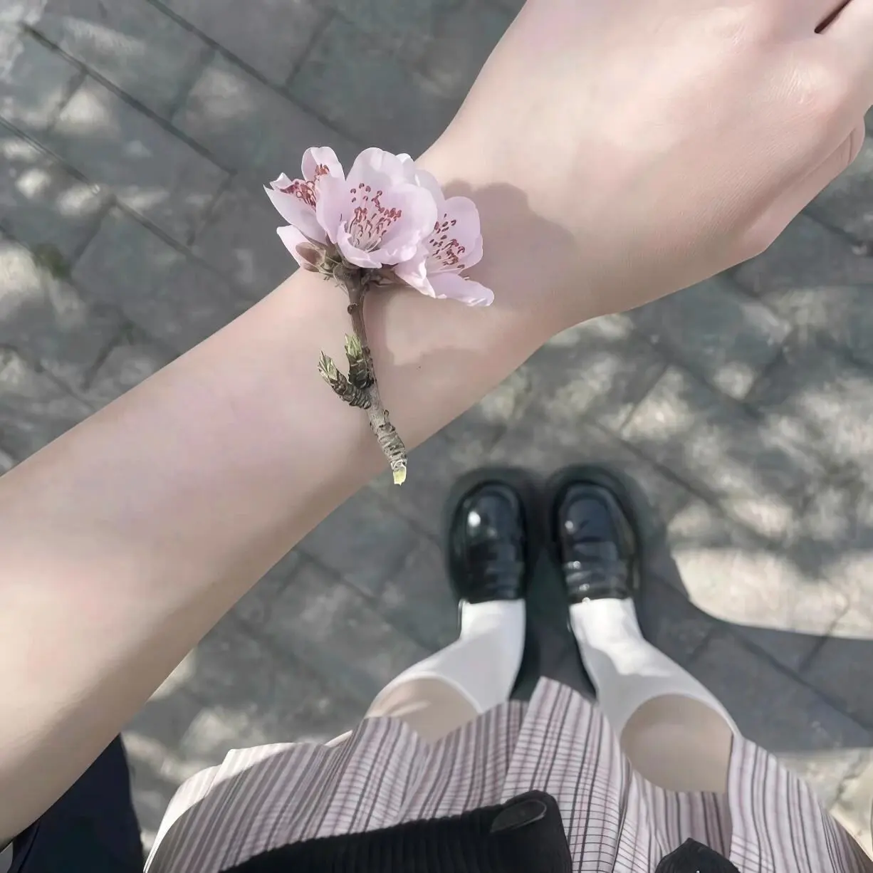 果粒程/招财猫♫的主播照片