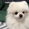 明天i!6