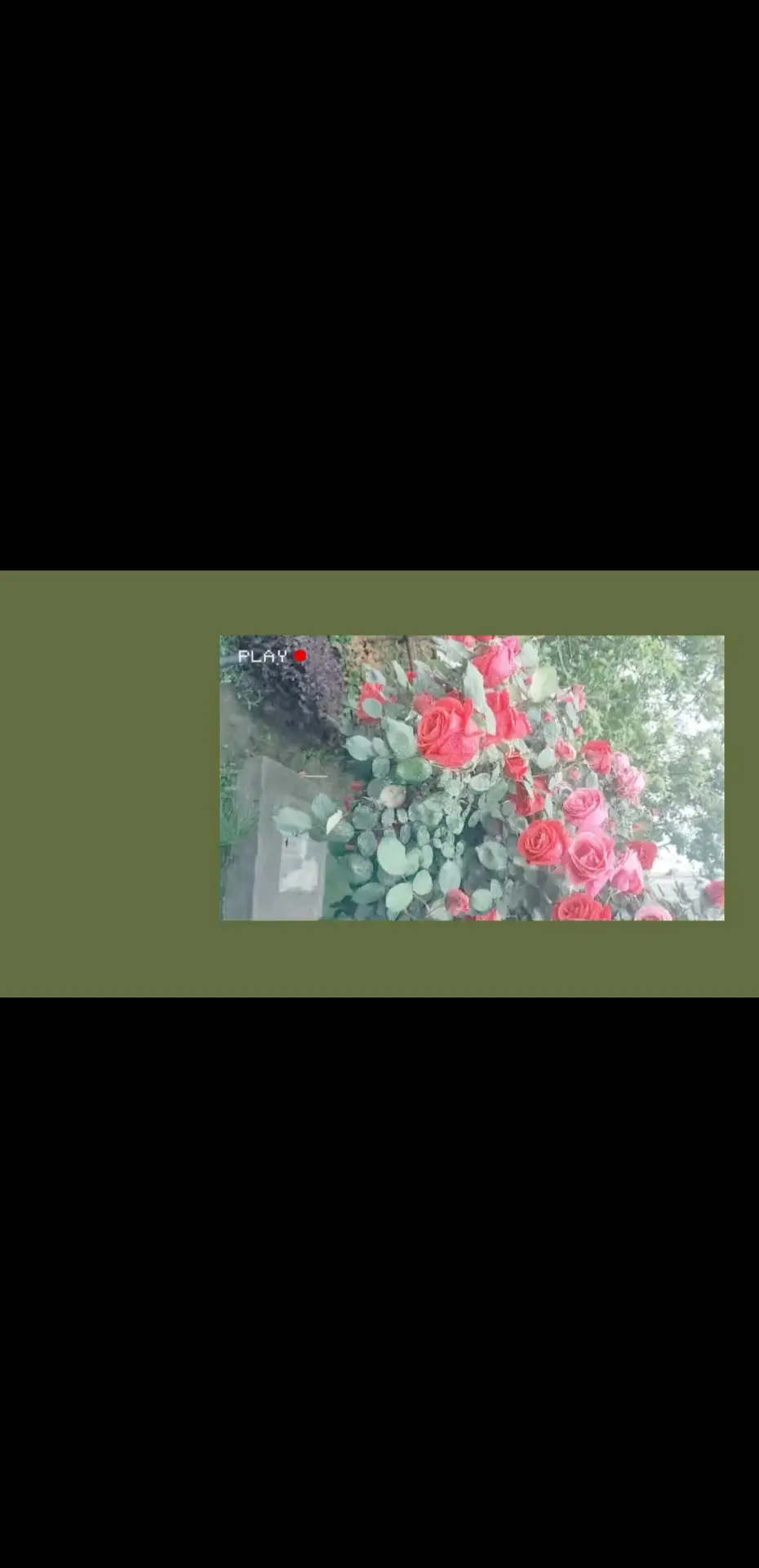 记录一下，此刻刚刚好