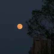 听歌专属~