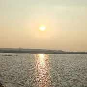 魔君成退网