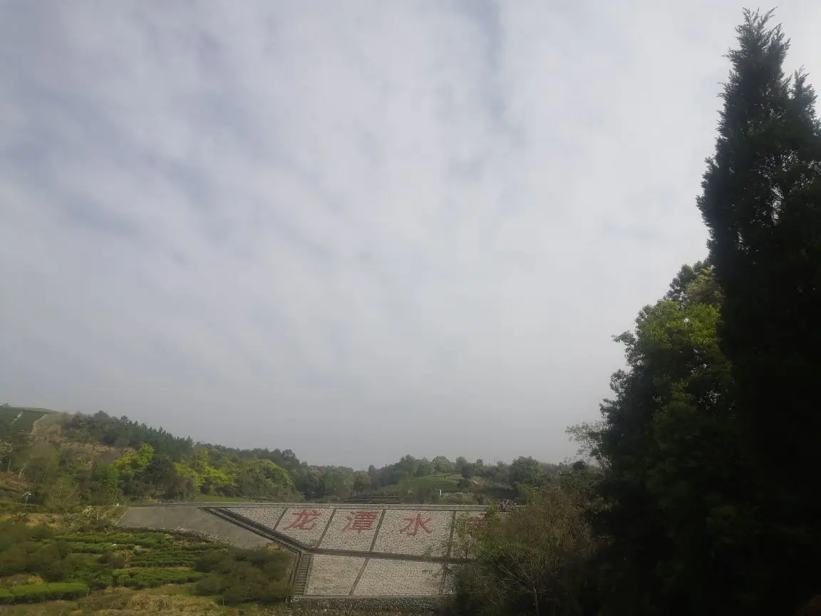 💖十六阿哥海上漂主播图片