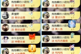 新来的抱抱馨💌的图片
