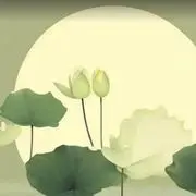 ★好雨❤随风★