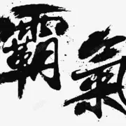 霸气里d小霸气╰っ