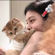 小布丁有个升冠梦的用户头像