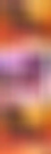 晴宝19号生日庆的主播照片