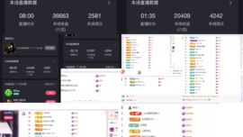 湘湘🦋主播照片