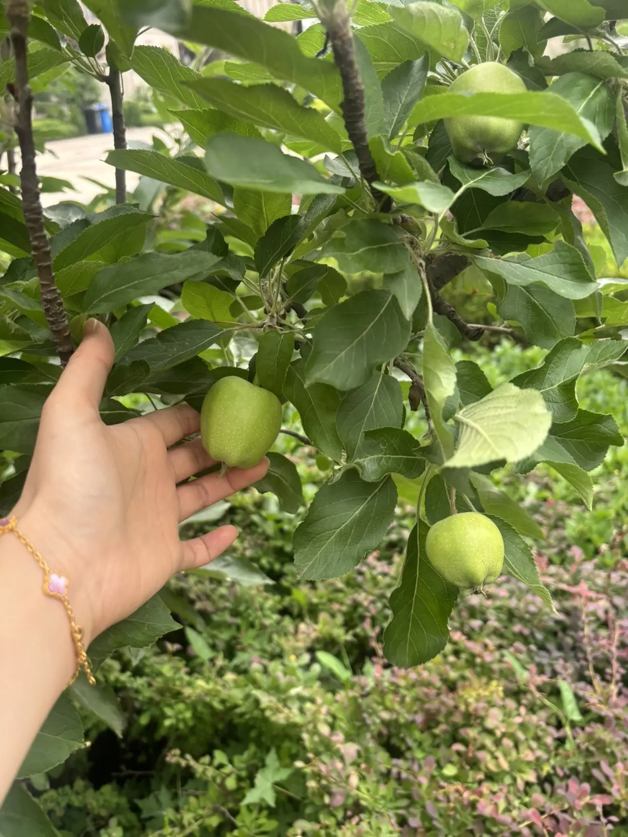 🎵小邓丽君🌺溪儿的主播照片
