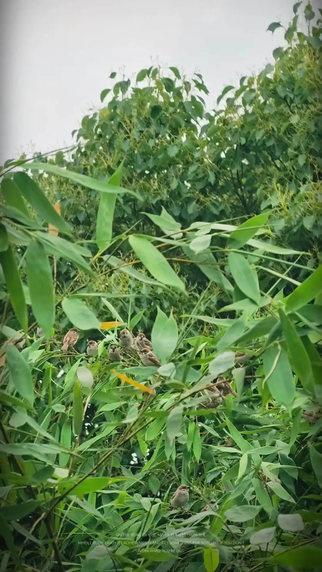 岁月静好！