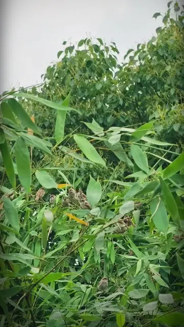 岁月静好！
