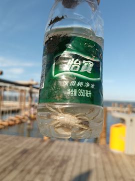 雪菜♫好运连连的图片