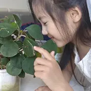 ☝🏻小左儿金牌代理