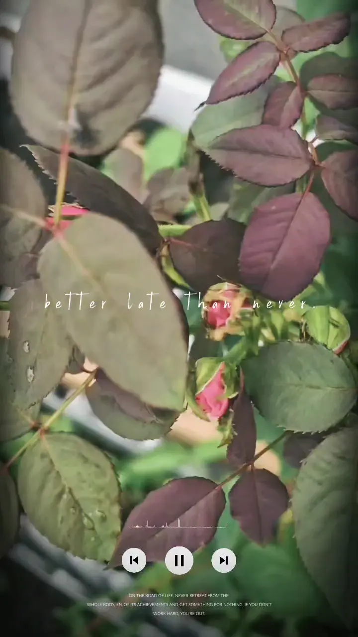 总算是看到点花花影子