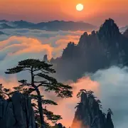 🌸梁山伯与茱丽叶