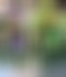 柠檬@~主播图片